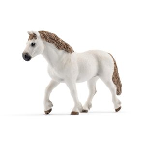 13872 Vrouwelijke Welsch Pony